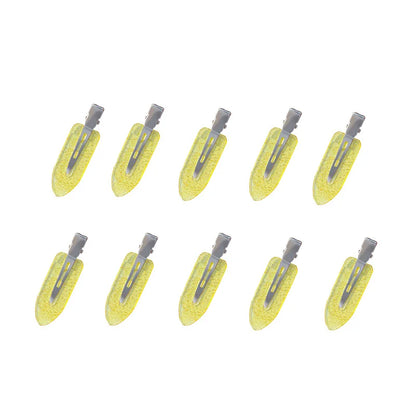 10pcs Hair Clips