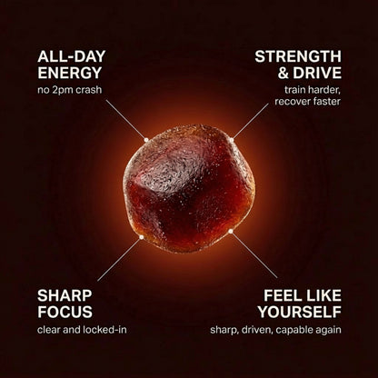 Himalayan Shilajit Gummies